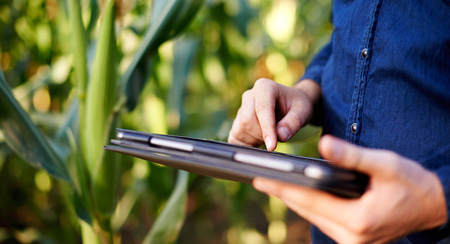 Picture of a person with a tablet on a field.