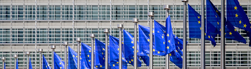 Zdjęcie flag Unii Europejskiej.