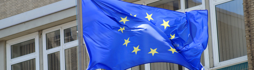 Picture of EU flag.